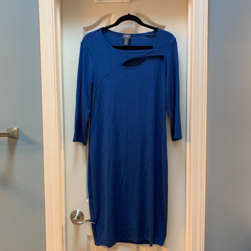Fitted Blue Dress by Chico's